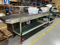 Habasit Australia model 13378 D Mobile Belt Conveyor