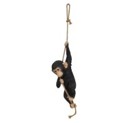 HANGING Chimpanzee