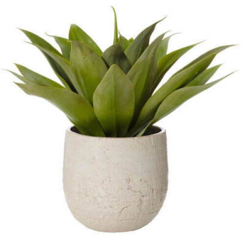 DNL 1 x Agave Pot Artificial Plant - White + Green