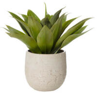 DNL 1 x Agave Pot Artificial Plant - White + Green