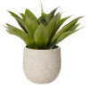 DNL 1 x Agave Pot Artificial Plant - White + Green