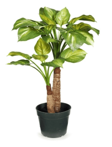 2 x Hosta Artificial Plants - 81cm - Variegated Green