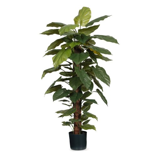 3 x Philodendrons on Pole 150cm Artificial Plants