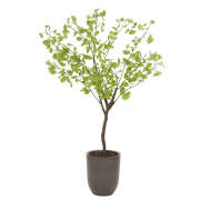 1 x Silver Birch Artificial Plant - Large - Green