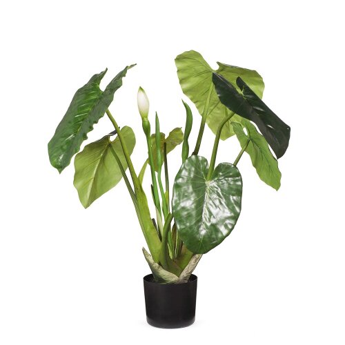 3 x Taro Artificial Plants - Green