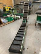 Motorised Incline Belt Conveyor - 2