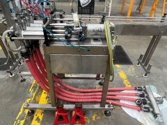 Flowfill 4 Head Bottle Filling and Packing Line - 4