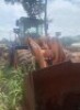 2010 Hitachi ZW250 Wheeled Loader - 3
