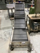 Crizaf Incline Cleated Belt Conveyor - 2
