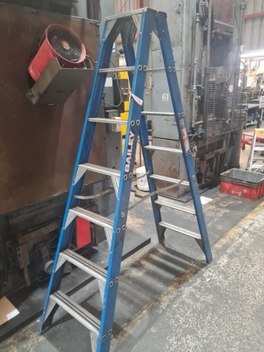 Bailey Ladder
