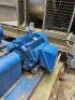 8 x Various Southern Cross Pentair Pumps - 39