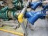 8 x Various Southern Cross Pentair Pumps - 59
