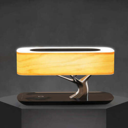 Articuture Light Of Life Lamp - 15 watt charger and lamp