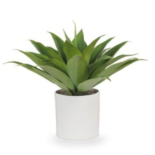 2 x Agave in Pot Artificial Plants - White + Green