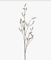3 x Bean Pod Branches