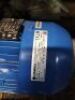 Lowara Pump - 2
