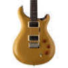 PRS SE DGT Moons, Gold Top