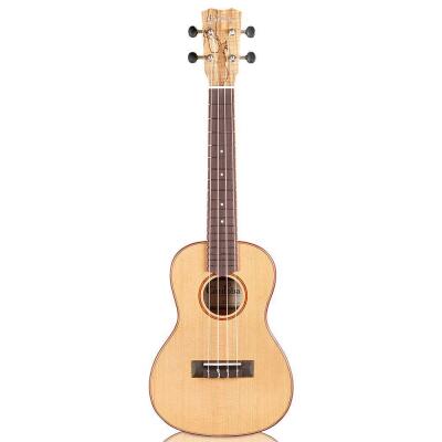 Cordoba 24C Spruce Spalted Maple Concert Ukulel (No bag)