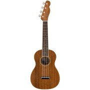 Zuma Concert Ukulele, Walnut Fingerboard, Natural