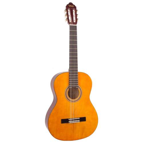 Valencia 100 Series Classical Guitar