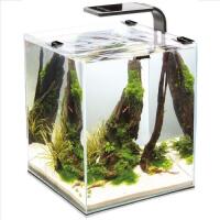 Shrimp set smart tank