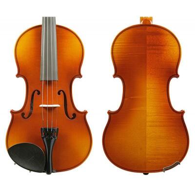 Raggetti RV2 Violin Package