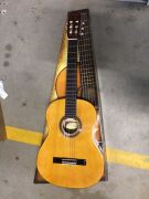 Valencia 100 Series Classical Guitar - 2