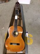 Valencia 100 Series Classical Guitar - 2