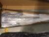 SX &frac34; Size Vintage Style Bass Guitar w/Bag - 2