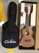 Cordoba UP100C Concert Ukulele Pack - 2