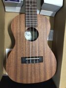 Cordoba UP100C Concert Ukulele Pack - 3