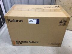 Roland CUBE Street EX Battery-Powered Stereo Amplifier - 2