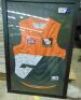 GWS Signed Players Jersey Framed