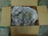 Misc. Pallet of Catering Equipment Supplies - 16