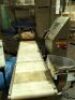 Leepack Bagging Machine with Conveyor - 6