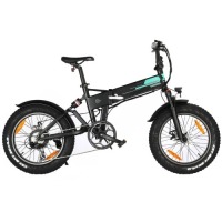 FAULTY Fiido M3 Folding eBike (Off Road)