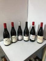 6 x Assorted Red Wines