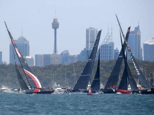 Competitive Yacht racing on Sydney Harbour for 4