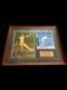 Glenn McGrath signed and framed action photo