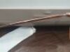 Celine Lea LEA C2 Sunglasses - HAVANA/RoseGold - 4