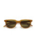 PUBLIC BEACON OK PB Sunglasses C2 GGAU FAN C3 - BROWN
