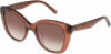 Oroton PIPER 2003222 Sunglasses - BROWN