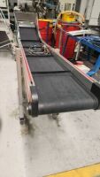 Mass International Elevated Conveyor Section