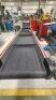 Mass International Elevated Conveyor Section - 2