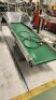 Elevated Conveyor Section - 2
