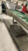 Elevated Conveyor Section - 3