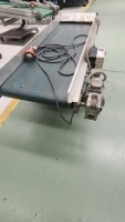 Filli Virginio Elevated Conveyor Section