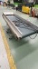 Filli Virginio Elevated Conveyor Section - 2