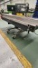 Filli Virginio Elevated Conveyor Section - 3