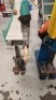 Manual Arbor Press - 3